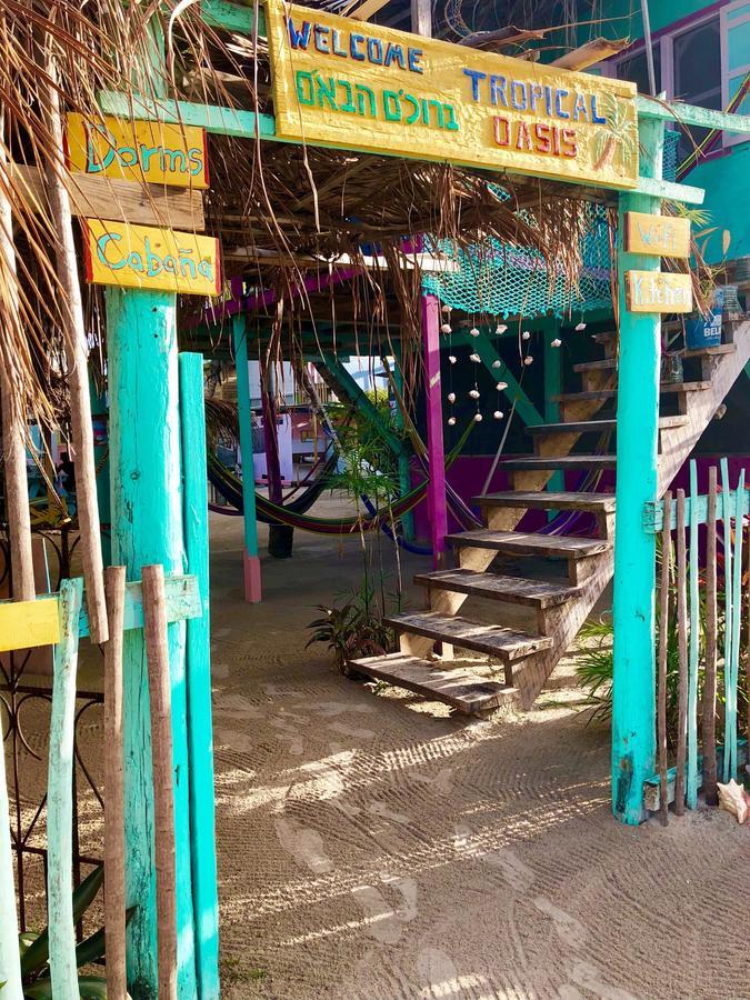 Tropical Oasis Hostel Caye Corker Exterior photo