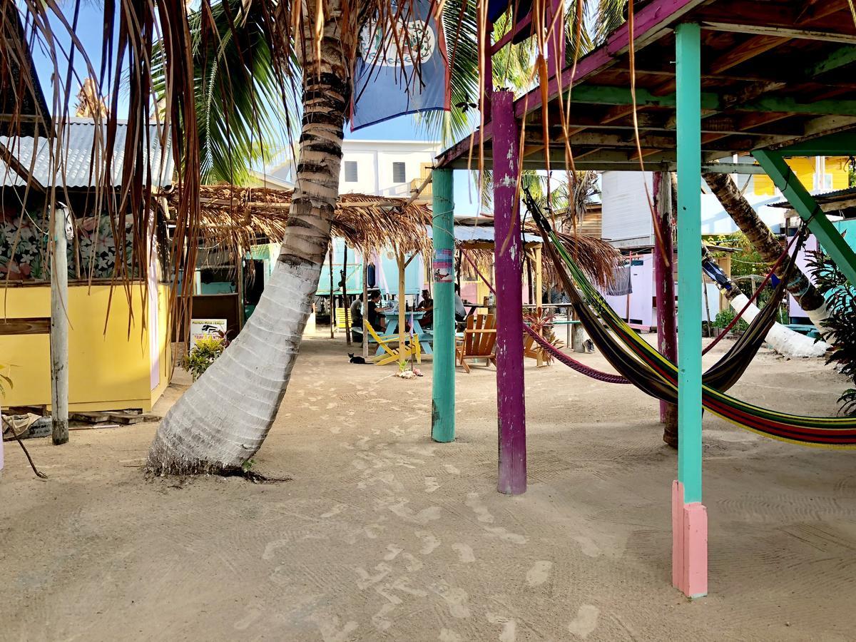 Tropical Oasis Hostel Caye Corker Exterior photo