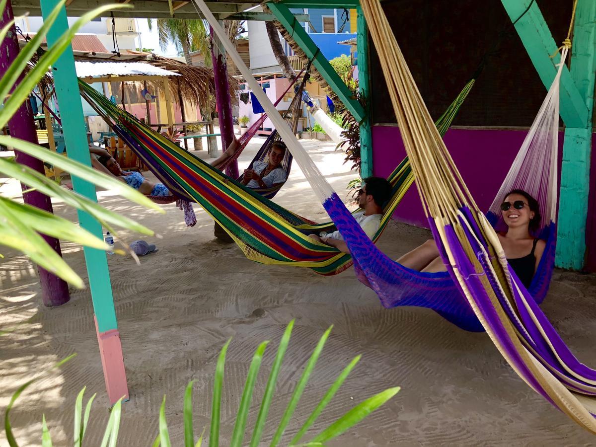 Tropical Oasis Hostel Caye Corker Exterior photo
