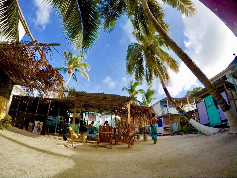 Tropical Oasis Hostel Caye Corker Exterior photo
